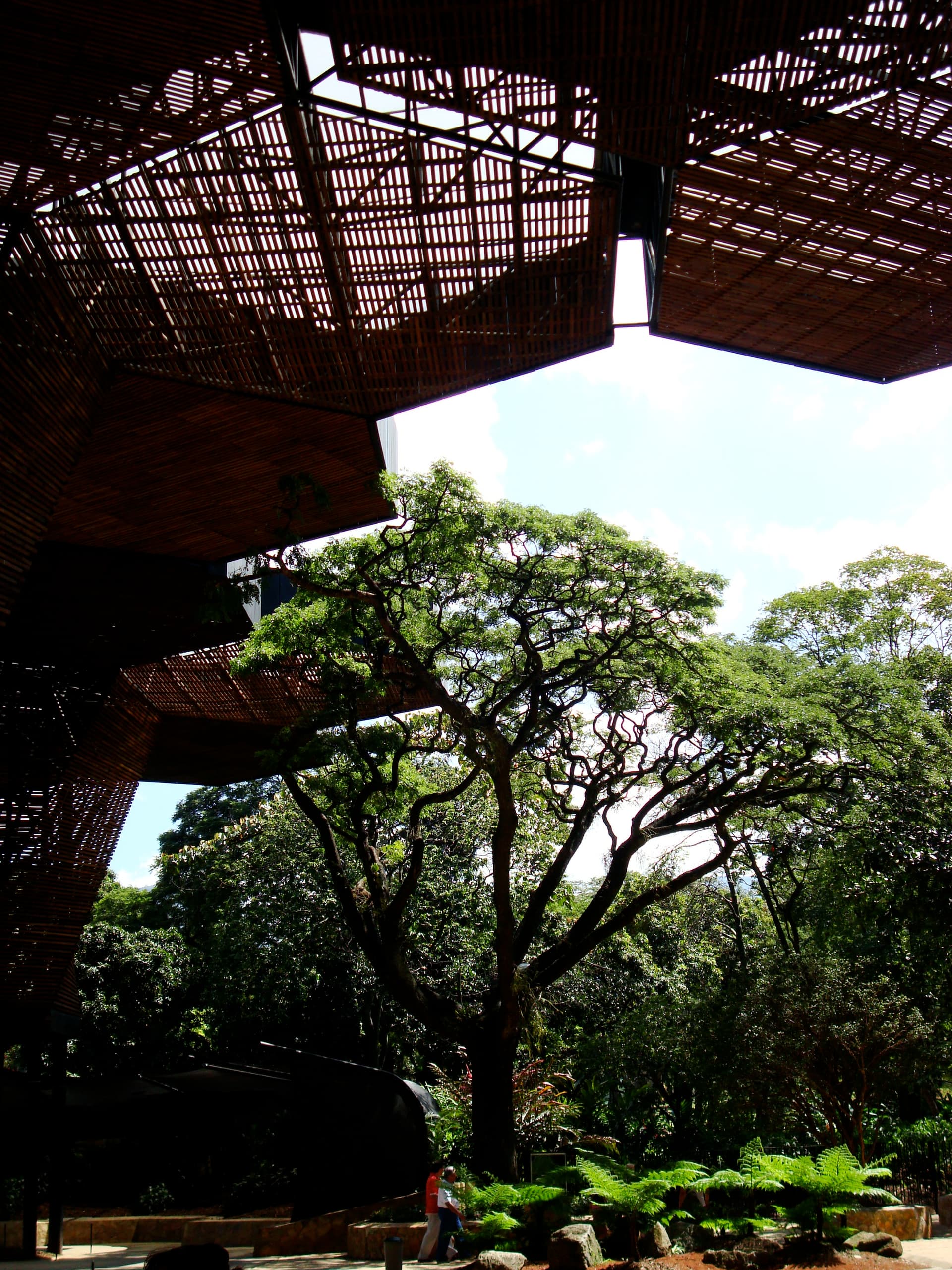 Jardín Botánico de Medellín